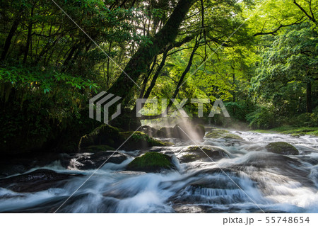 風景 風景 55748654