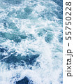 波 55750228