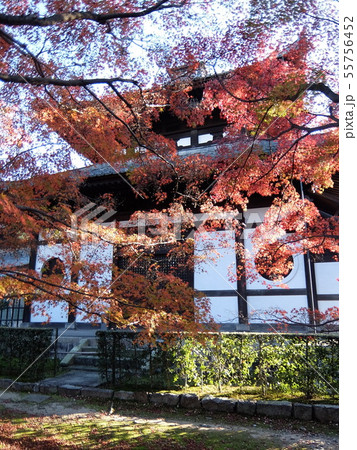 東福寺：錦秋に染まる経蔵 55756452