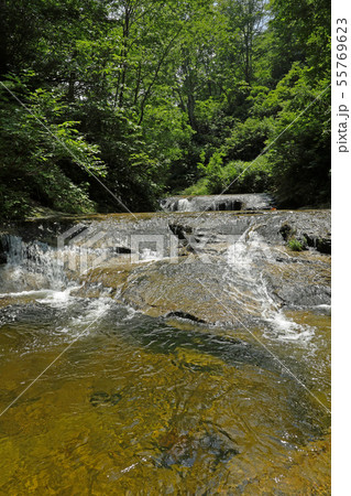 一枚岩の沢とブナの森ー恵みの森　福島県只見町 55769623