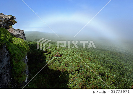 北海道の森に架かる白い虹（霧虹・フォグボー） 55772971