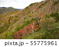 秋の半月山 55775961