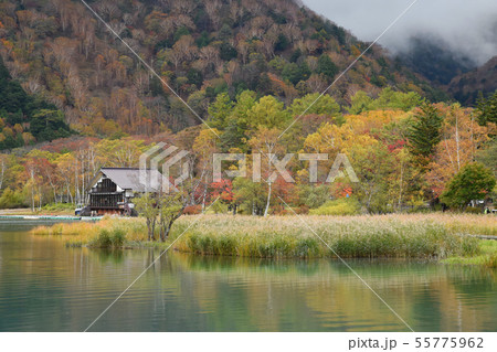 秋の湯ノ湖 55775962