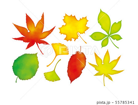 紅葉の水彩イラストセットのイラスト素材