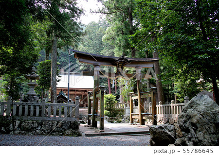 日本一低い中央分水界に隣接するいそべ神社　ロング　兵庫県丹波市氷上町にて 55786645