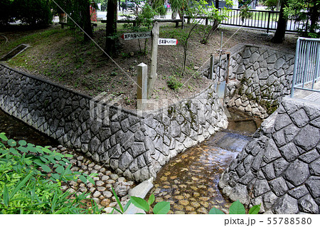 日本一低い中央分水界がある水分れ公園 右は日本海 左は瀬戸内海へ流れる 兵庫県丹波市氷上町にて 日本一低い中央分水界がある水分れ公園 右は日本海 左は瀬戸内海へ流れる 兵庫県丹波市氷上町にて 55788580
