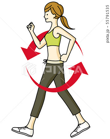女性-ウォーキング-循環 55791535