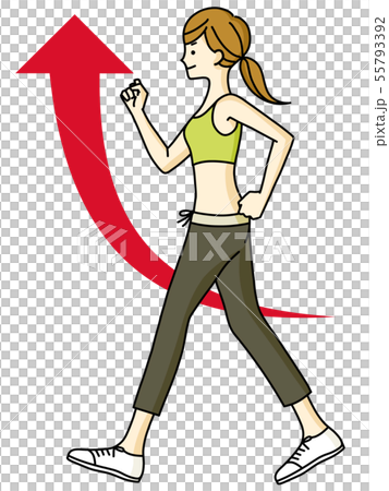 女性-ウォーキング-上昇 55793392