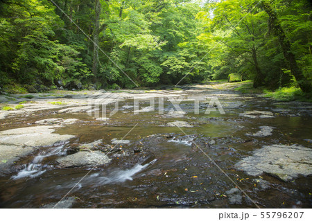菊池渓谷広河原 55796207