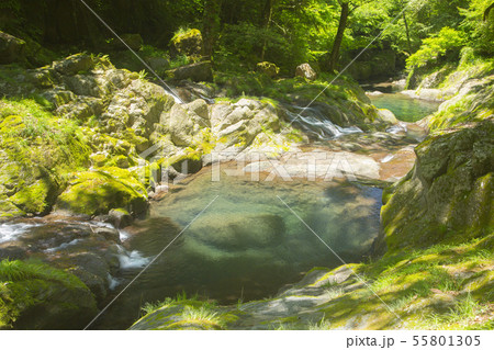 菊池渓谷 55801305