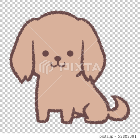 ミニチュアダックスお座り 55805391