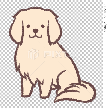 金毛獵犬坐 金毛獵犬坐 55805413
