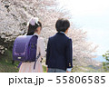 子供後ろ姿　入学式　桜 55806585