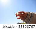 子供の手に小花 55806767