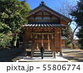 子供　神社でおまいり 55806774