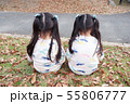 双子女子　後ろ姿　落ち葉の上に座る 55806777