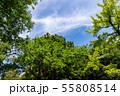 万葉の森 55808514