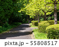 万葉の森 55808517