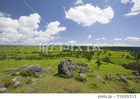 阿蘇 押戸石の丘 阿蘇 押戸石の丘 55809313