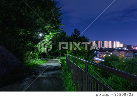 夜の公園 55809702