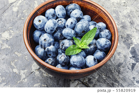 Berries blueberries or bilberry 55820919