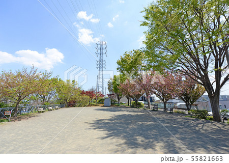 横浜市港北区　日吉公園 55821663