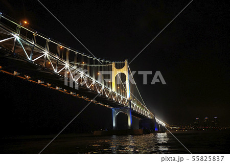 広安大橋 釜山 夜景 55825837