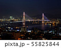 釜山 夜景 足 55825844