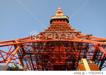 東京タワー2019年1月(定期塔体塗装工事中) 東京タワー2019年1月(定期塔体塗装工事中) 55834024