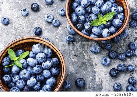 Berries blueberries or bilberry 55836107