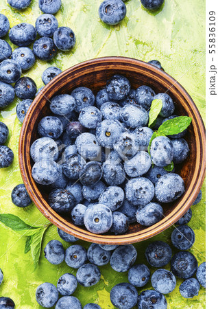 Berries blueberries or bilberry 55836109