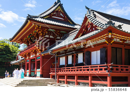(神奈川県-風景)夏空の下の鶴岡八幡宮８ 55836648