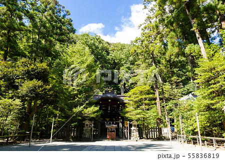 (神奈川県-風景)緑の中に佇む白旗神社２ 55836819