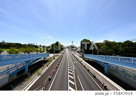 大宮第三公園付近 旧16号 大宮方面 大宮第三公園付近 旧16号 大宮方面 55847014