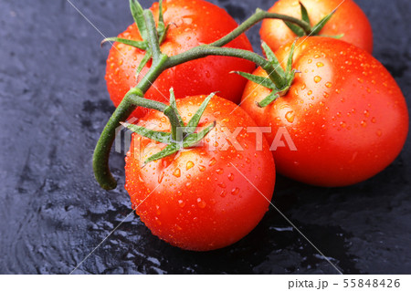 Tomato branch with Very fresh and delicious red tomatoes Tomato branch with Very fresh and delicious red tomatoes 55848426