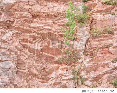 Multi-layered lime and feric lines in wall surface Multi-layered lime and feric lines in wall surface 55854142