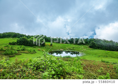 View of a mountain glade with a mirror lake 55860410