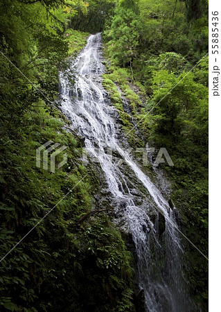 飛龍の瀧（兵庫県佐用郡佐用町） 55885436