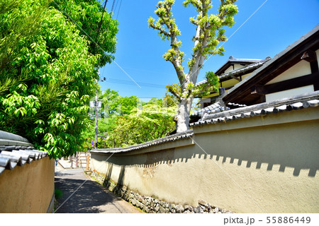 奈良 髙畑町 志賀直哉旧居横の路地 奈良 髙畑町 志賀直哉旧居横の路地 55886449