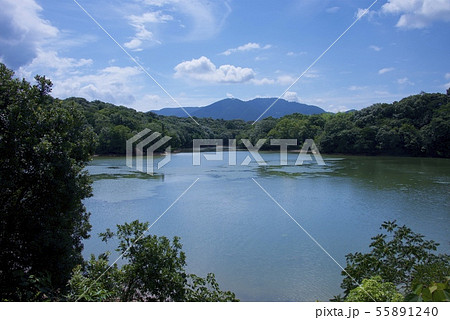 篠栗九大の森（福岡県篠栗町） 55891240