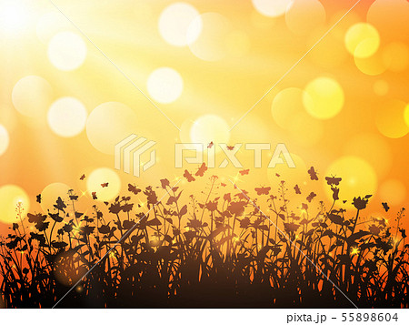 Nature background with wildflowers and butterflies 55898604