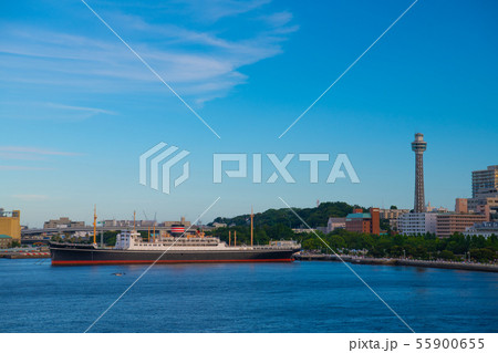 日本の横浜都市景観 横浜マリンタワーや山下公園などを望む(公園でスマホゲームイベント) 日本の横浜都市景観 横浜マリンタワーや山下公園などを望む(公園でスマホゲームイベント) 55900655