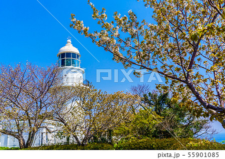 樺島灯台公園　樺島灯台　【長崎市】 55901085