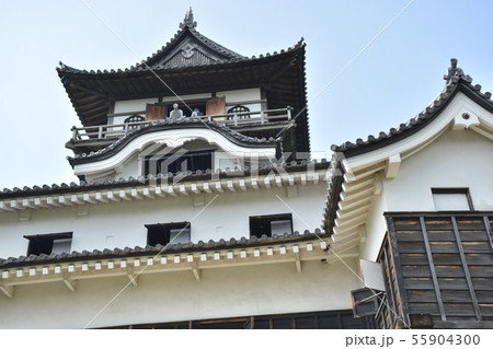 【愛知県】夏の犬山城 55904300