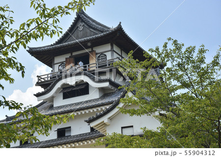 【愛知県】夏の犬山城 55904312