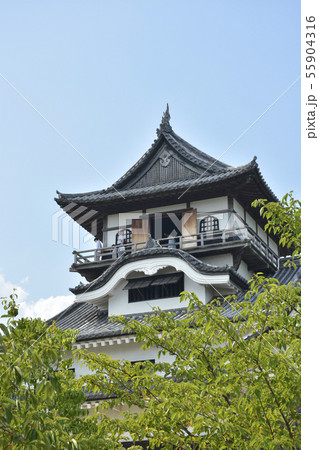 【愛知県】夏の犬山城 55904316