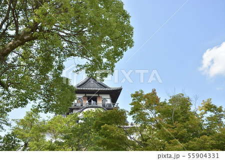 【愛知県】夏の犬山城 【愛知県】夏の犬山城 55904331