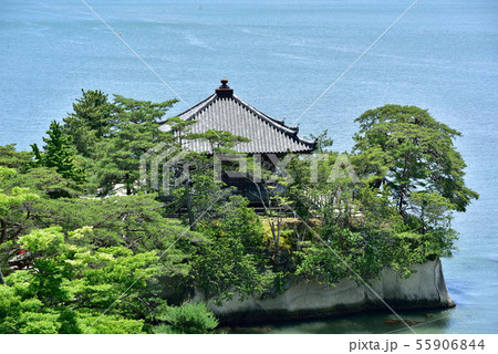 松島 五大堂 松島 五大堂 55906844