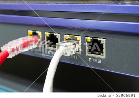 The network cables to connect Lan port 55906991