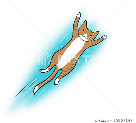 斜めにジャンプする猫のカットイラスト 水色背景 のイラスト素材